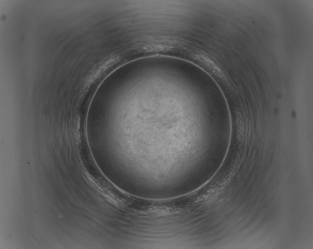 X0000078250490200611031141