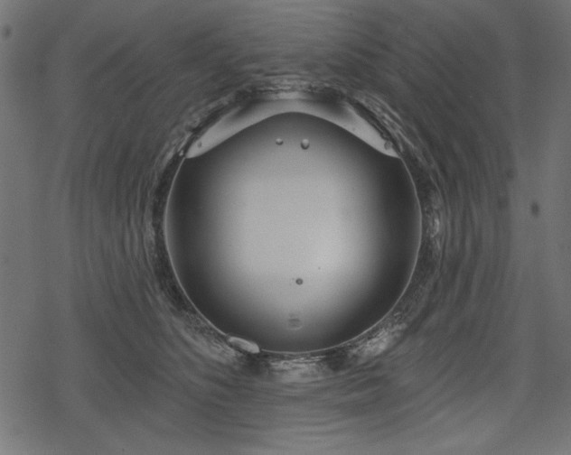 X0000078250516200611031141