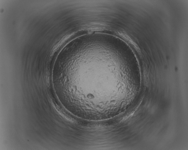 X0000078250533200611031140