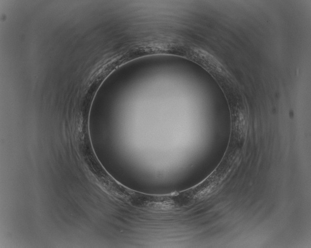 X0000078250548200611031140