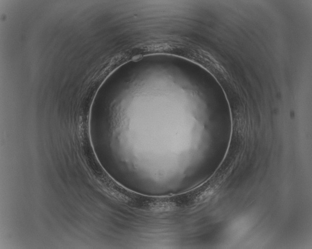 X0000078250549200611031140