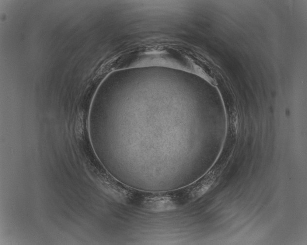 X0000078250554200611031140