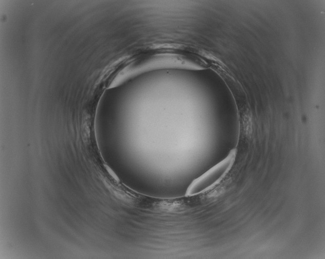 X0000078250570200611031140