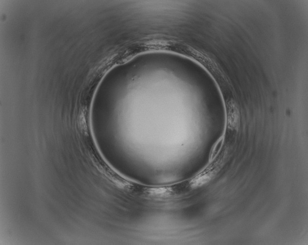 X0000078250573200611031140