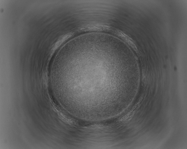 X0000078250578200611031140