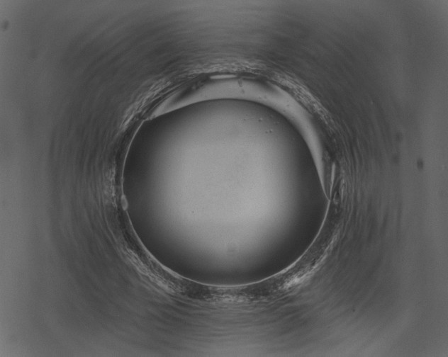 X0000078250585200611031140