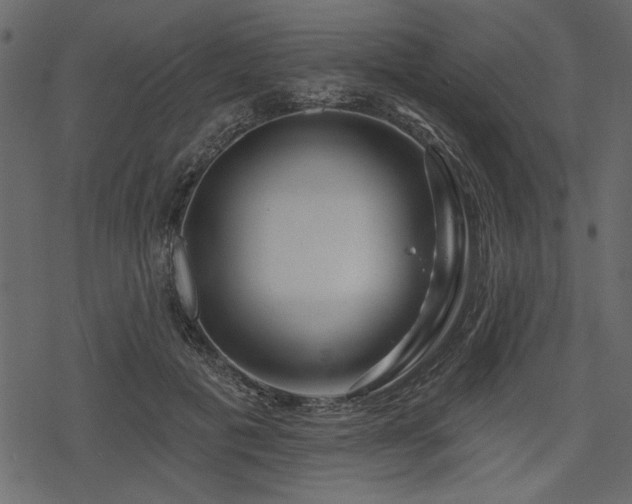 X0000078250601200611031139