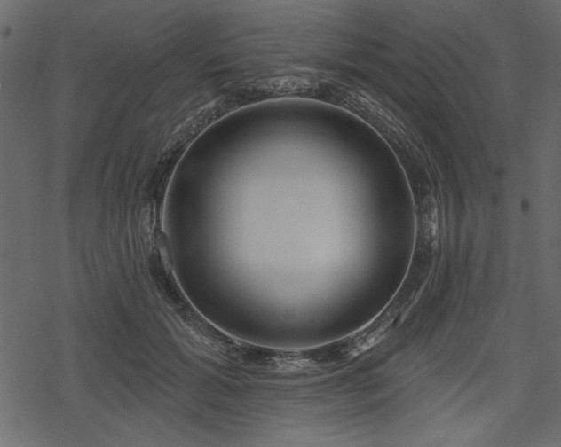 X0000078250605200611031139