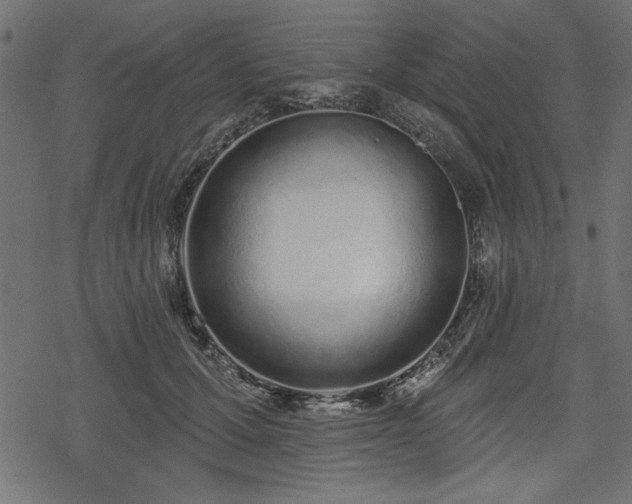 X0000078250607200611031139