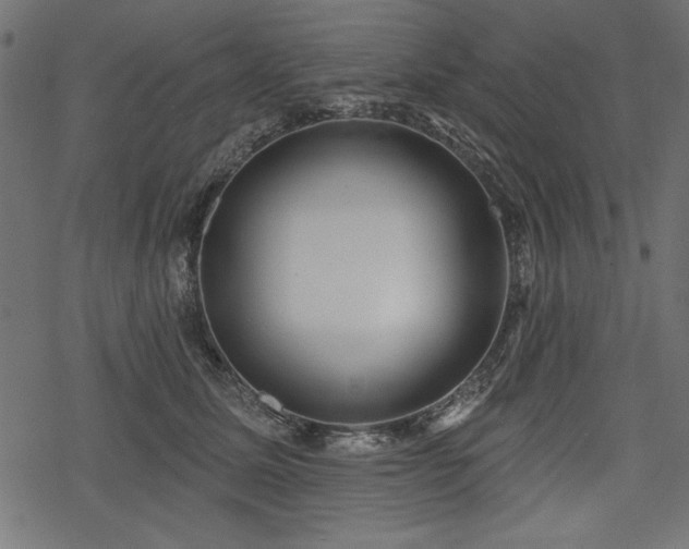 X0000078250611200611031139