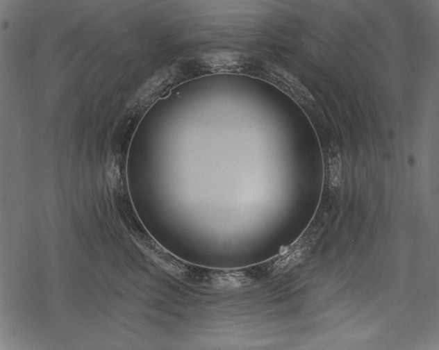 X0000078250618200611031139