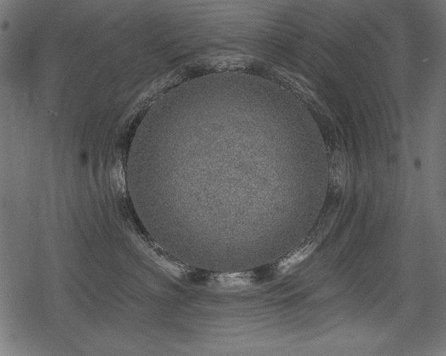 X0000078250622200611031139