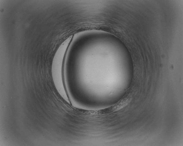 X0000078250624200611031139