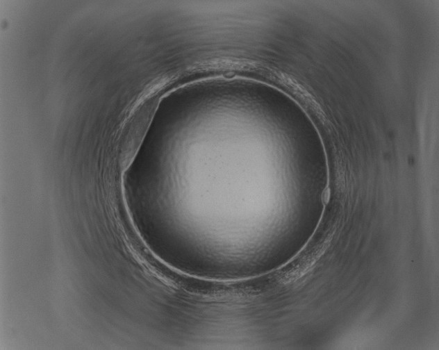 X0000078250625200611031138