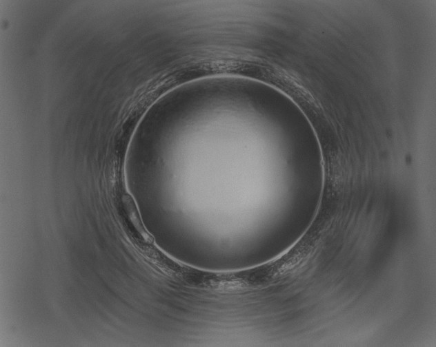 X0000078250645200611031138