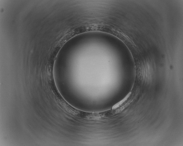 X0000078250661200611031139