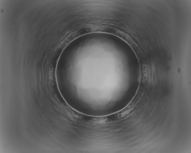 X0000078250667200611031139