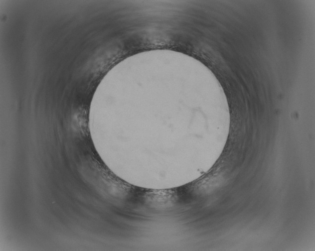 X0000078250672200611031139