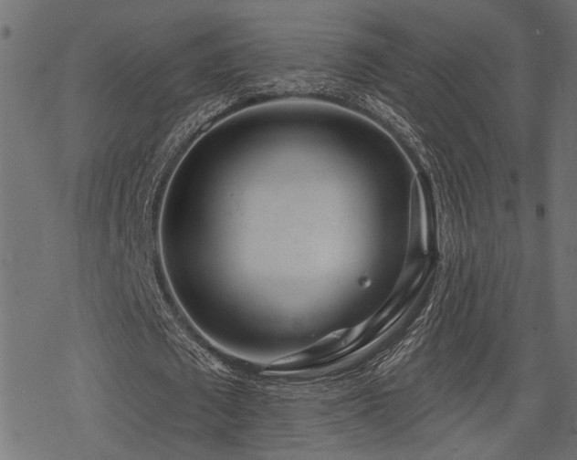 X0000078250673200611031138