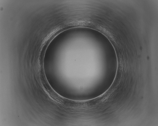 X0000078250674200611031138