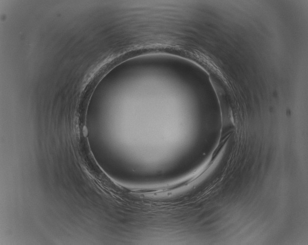 X0000078250676200611031138