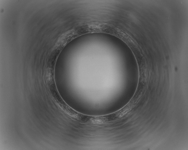 X0000078250706200611031138