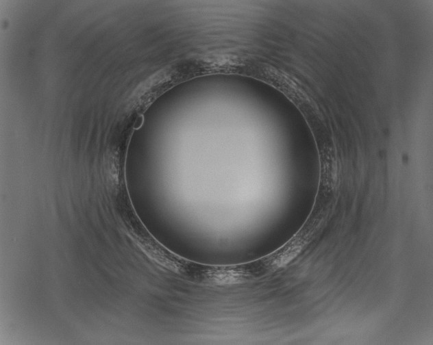 X0000078250710200611031137