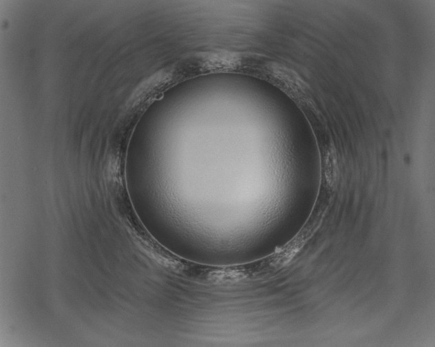 X0000078250714200611031137