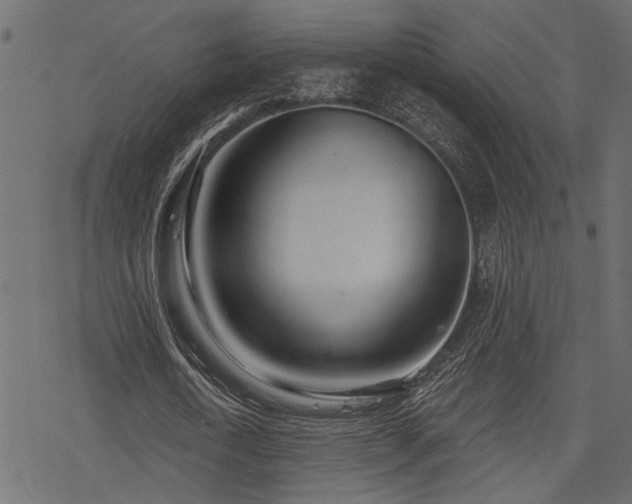 X0000078250722200611031137