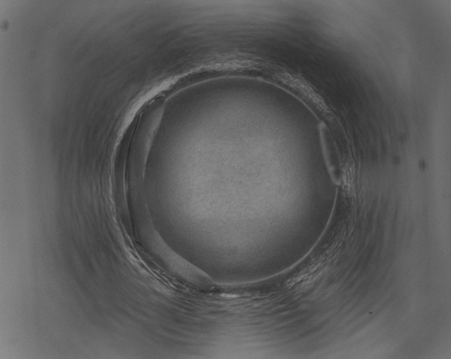 X0000078250724200611031137