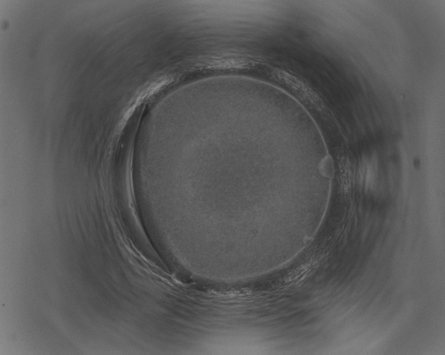 X0000078250731200611031137