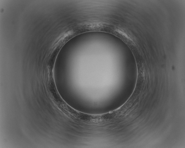 X0000078250744200611031137