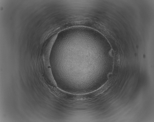 X0000078250746200611031137