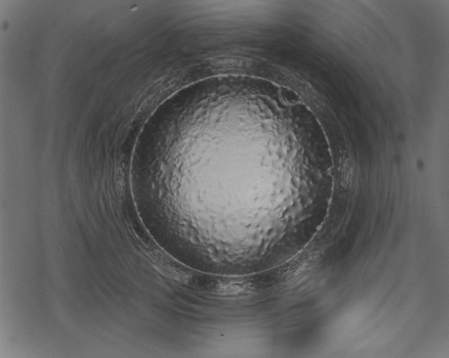 X0000078250753200611031137