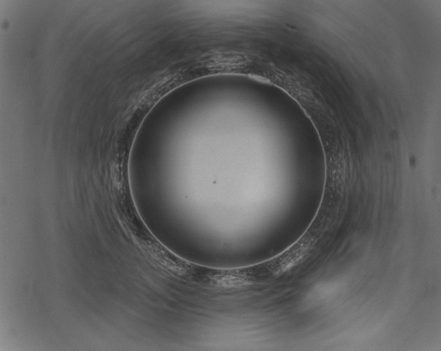 X0000078250755200611031137