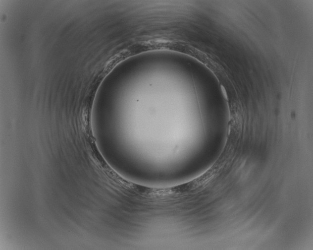 X0000078250767200611031137