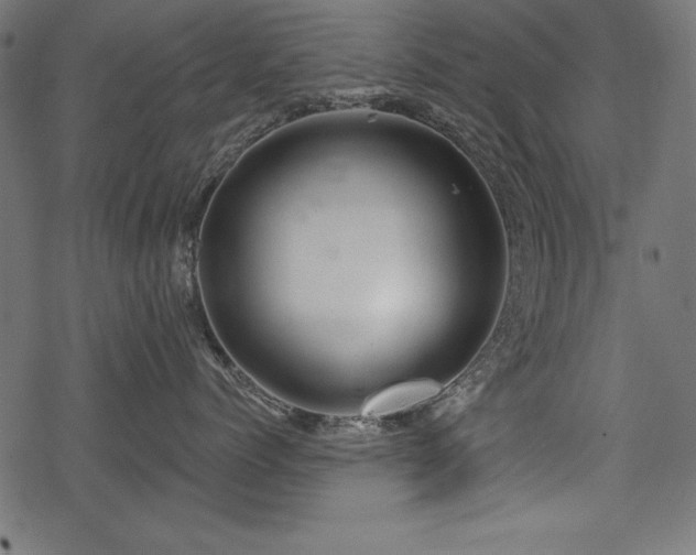 X0000078250768200611031137