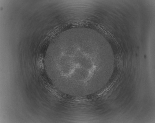 X0000078250770200611031137