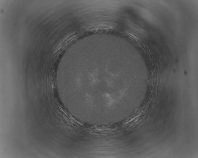 X0000078250774200611031136