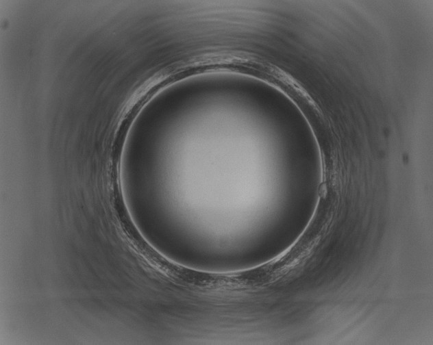 X0000078250786200611031136