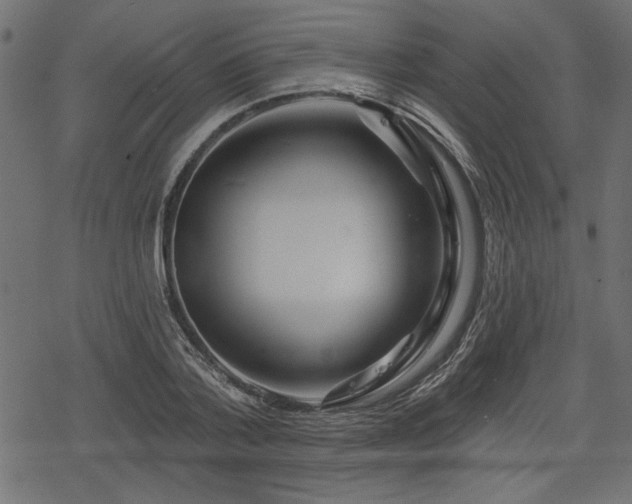 X0000078250788200611031136