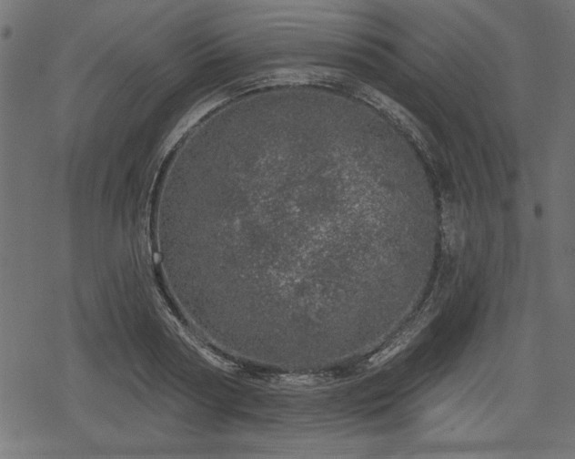 X0000078250794200611031136