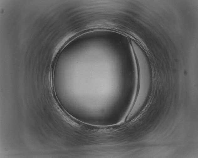 X0000078250796200611031136