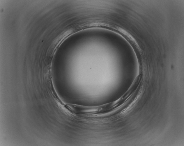 X0000078250801200611031136