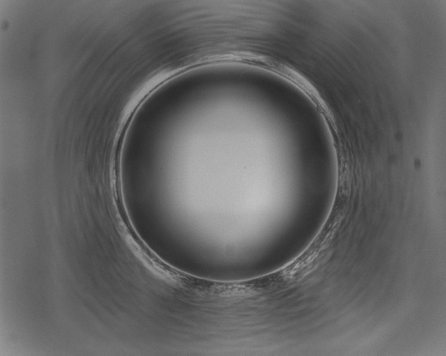 X0000078250811200611031136