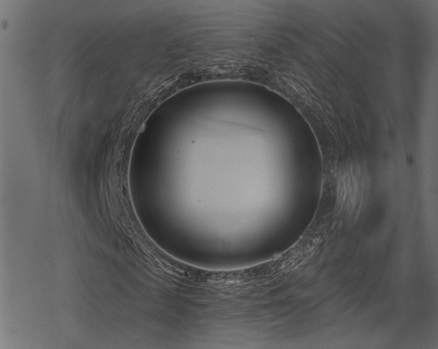 X0000078250817200611031135