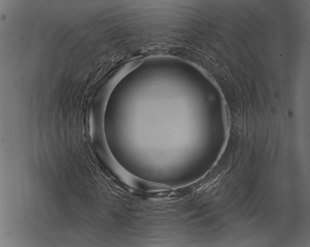 X0000078250818200611031135