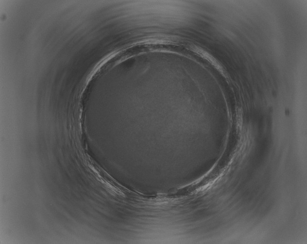 X0000078250829200611031135