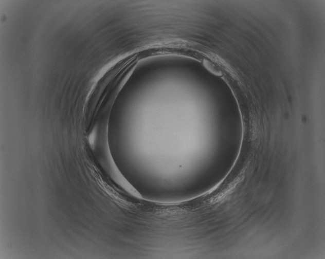 X0000078250830200611031135