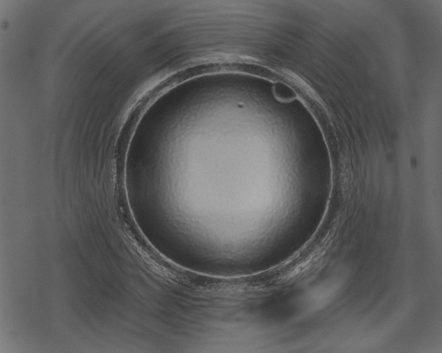 X0000078250831200611031135
